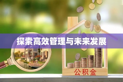 饶阳探索高效管理与未来发展