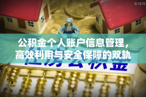 饶阳公积金个人账户信息管理，高效利用与安全保障的双轨并行