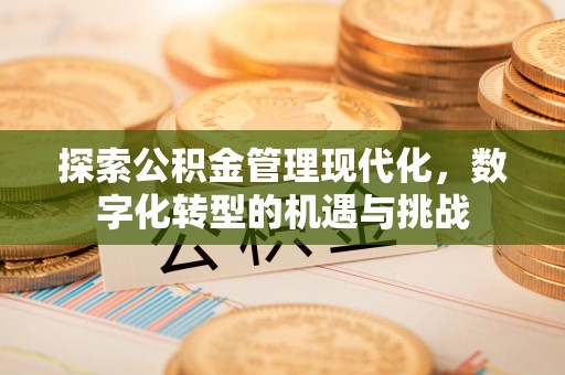 饶阳探索公积金管理现代化，数字化转型的机遇与挑战