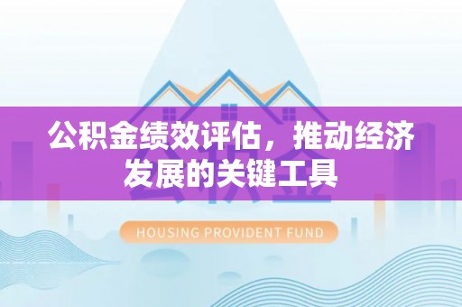 饶阳公积金绩效评估，推动经济发展的关键工具