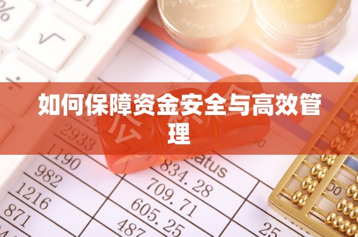 饶阳如何保障资金安全与高效管理