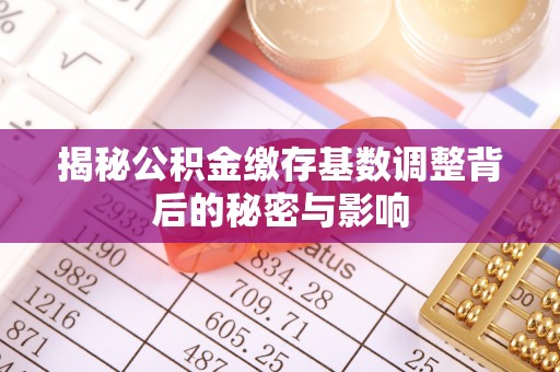 饶阳揭秘公积金缴存基数调整背后的秘密与影响