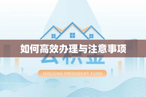 饶阳如何高效办理与注意事项