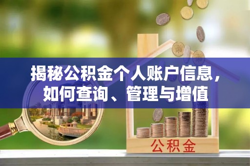 饶阳揭秘公积金个人账户信息，如何查询、管理与增值