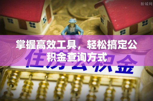 饶阳掌握高效工具，轻松搞定公积金查询方式