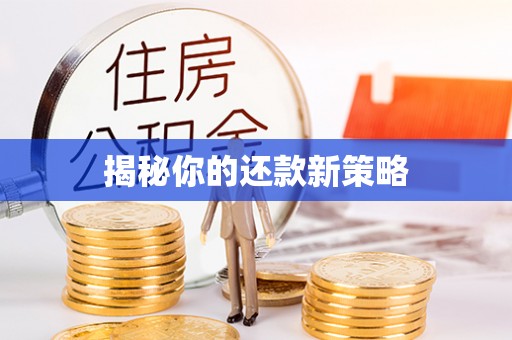 饶阳揭秘你的还款新策略