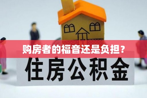 饶阳购房者的福音还是负担？