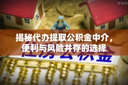 饶阳揭秘代办提取公积金中介，便利与风险并存的选择