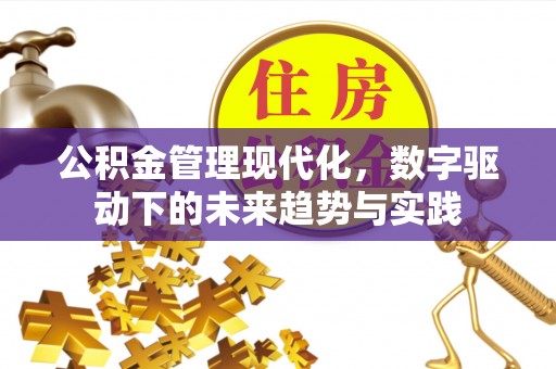 饶阳公积金管理现代化，数字驱动下的未来趋势与实践