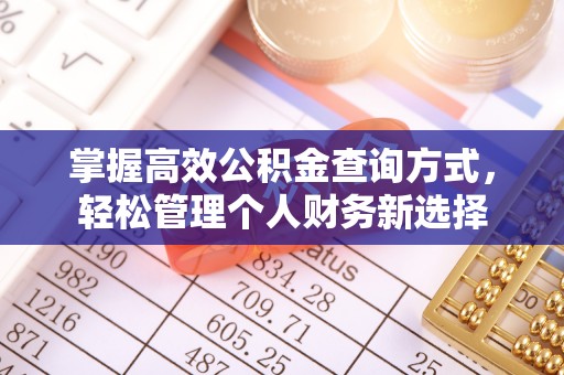 饶阳掌握高效公积金查询方式，轻松管理个人财务新选择