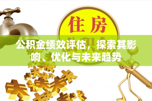 饶阳公积金绩效评估，探索其影响、优化与未来趋势