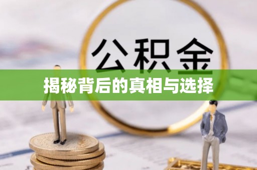 饶阳揭秘背后的真相与选择