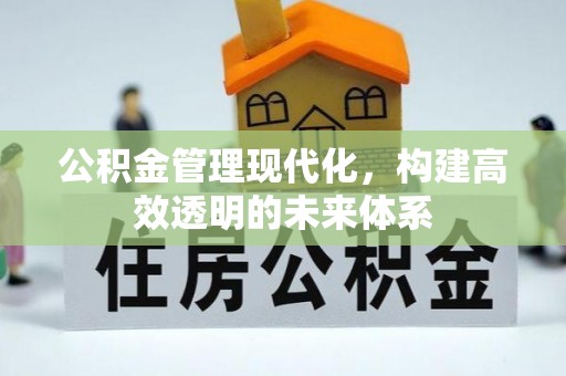 饶阳公积金管理现代化，构建高效透明的未来体系