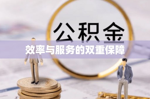 饶阳效率与服务的双重保障