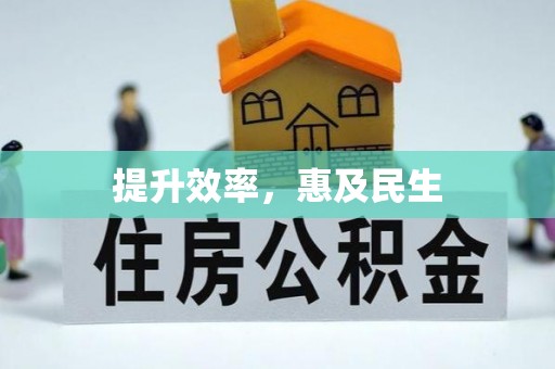 饶阳提升效率，惠及民生