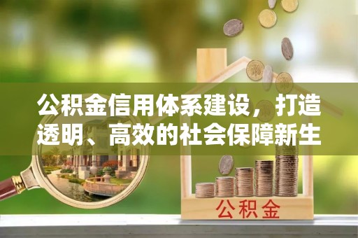 饶阳公积金信用体系建设，打造透明、高效的社会保障新生态