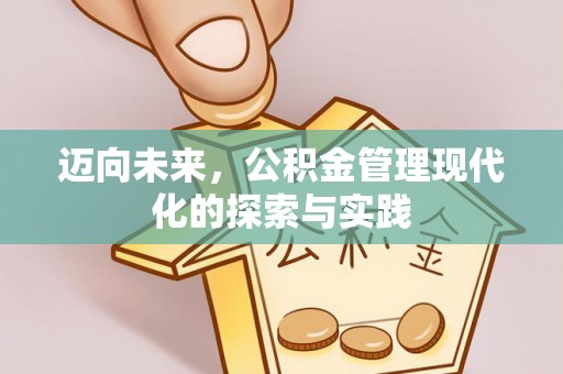饶阳迈向未来，公积金管理现代化的探索与实践