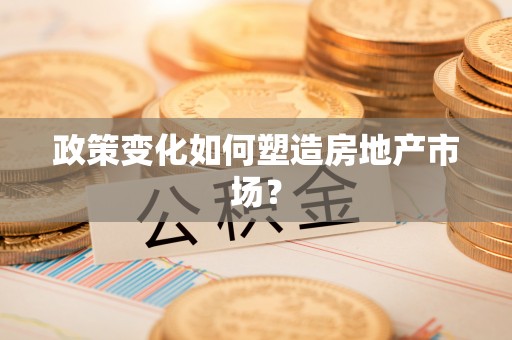 饶阳政策变化如何塑造房地产市场？
