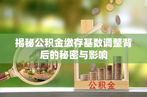 饶阳揭秘公积金缴存基数调整背后的秘密与影响