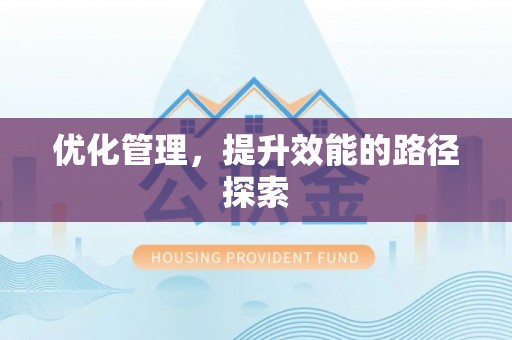 饶阳优化管理，提升效能的路径探索