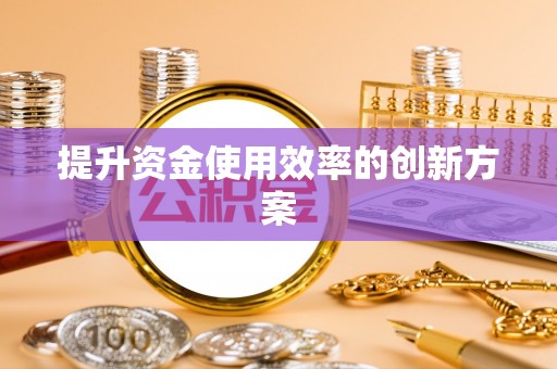 饶阳提升资金使用效率的创新方案