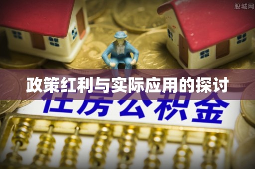 饶阳政策红利与实际应用的探讨