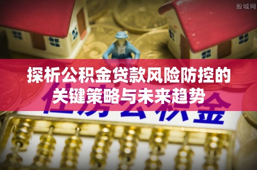 饶阳探析公积金贷款风险防控的关键策略与未来趋势