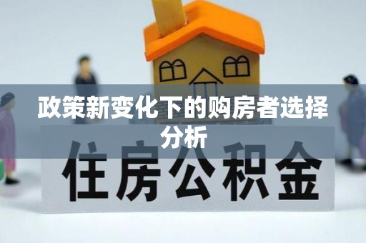 饶阳政策新变化下的购房者选择分析