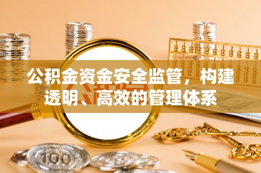 饶阳公积金资金安全监管，构建透明、高效的管理体系