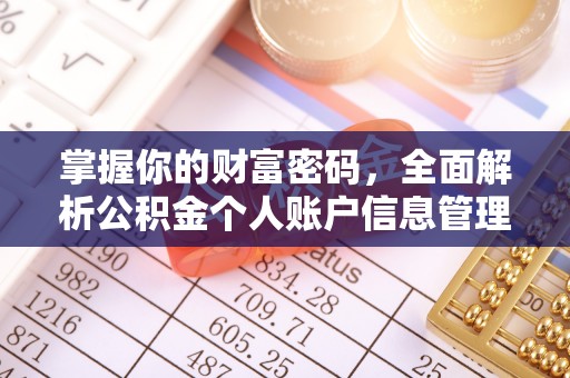 饶阳掌握你的财富密码，全面解析公积金个人账户信息管理