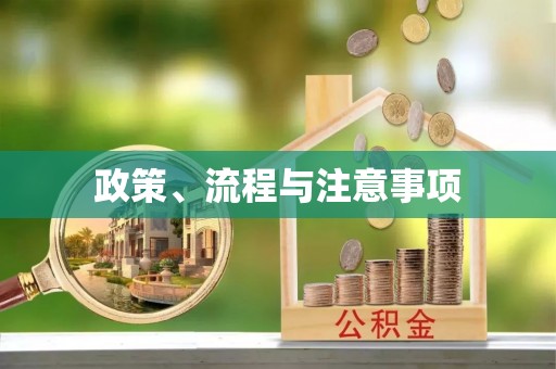 饶阳政策、流程与注意事项