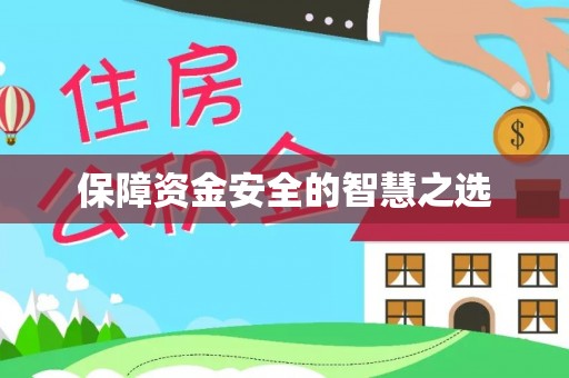 饶阳保障资金安全的智慧之选