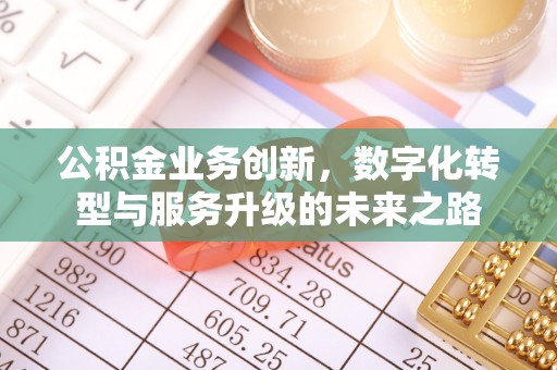 饶阳公积金业务创新，数字化转型与服务升级的未来之路