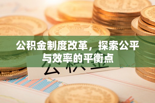 饶阳公积金制度改革，探索公平与效率的平衡点