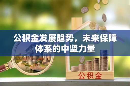 饶阳公积金发展趋势，未来保障体系的中坚力量