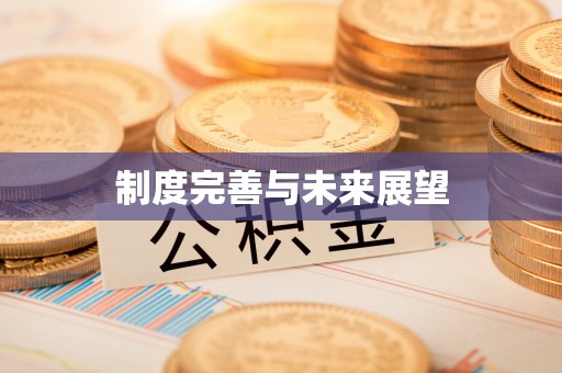 饶阳制度完善与未来展望