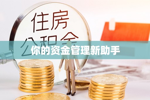 饶阳你的资金管理新助手