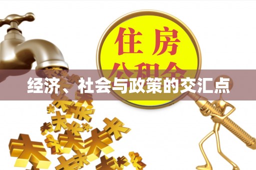 饶阳经济、社会与政策的交汇点