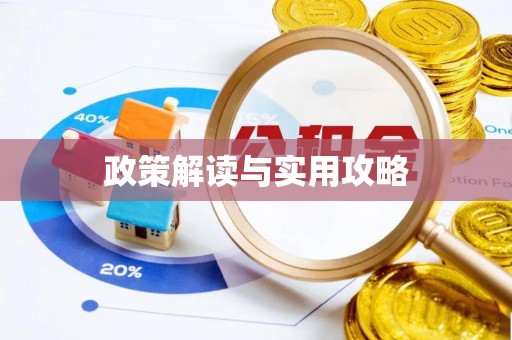 饶阳政策解读与实用攻略