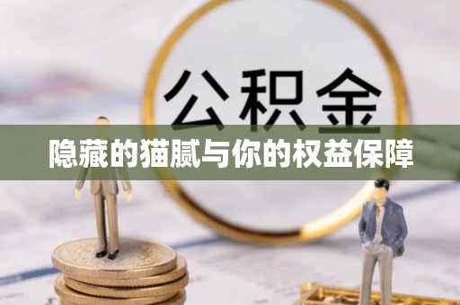 饶阳隐藏的猫腻与你的权益保障