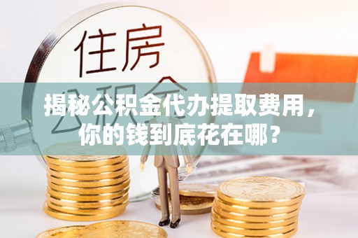 饶阳揭秘公积金代办提取费用，你的钱到底花在哪？