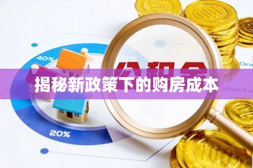 饶阳揭秘新政策下的购房成本
