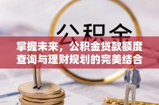 饶阳掌握未来，公积金贷款额度查询与理财规划的完美结合