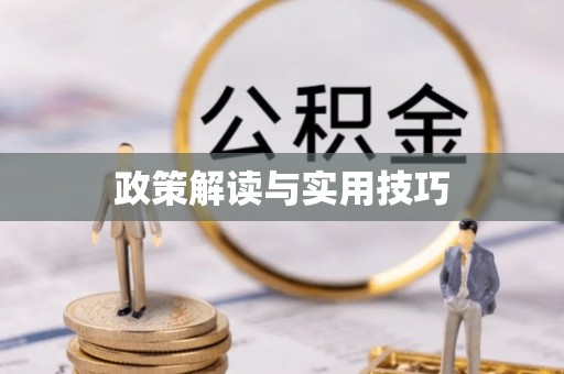 饶阳政策解读与实用技巧