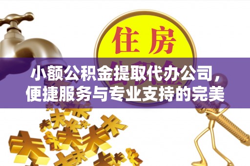 饶阳小额公积金提取代办公司，便捷服务与专业支持的完美结合