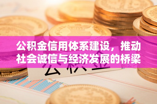 饶阳公积金信用体系建设，推动社会诚信与经济发展的桥梁