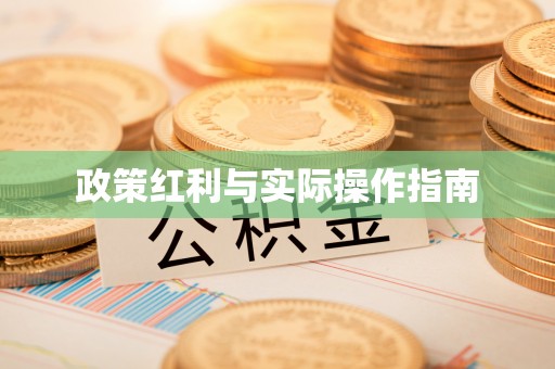 饶阳政策红利与实际操作指南