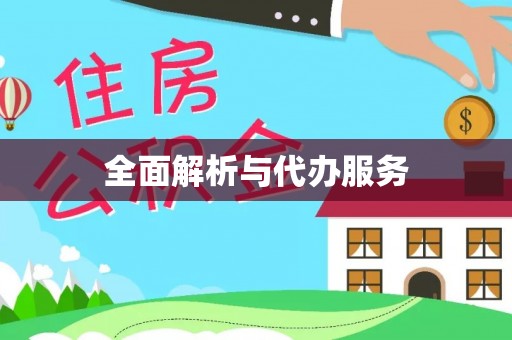 饶阳全面解析与代办服务