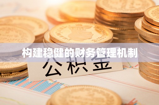 饶阳构建稳健的财务管理机制