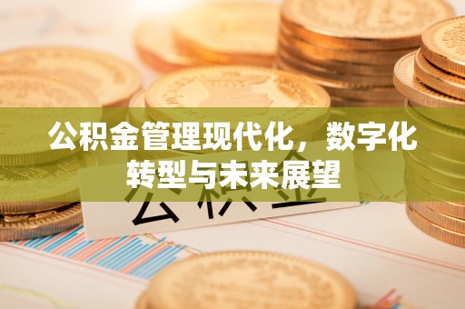 饶阳公积金管理现代化，数字化转型与未来展望